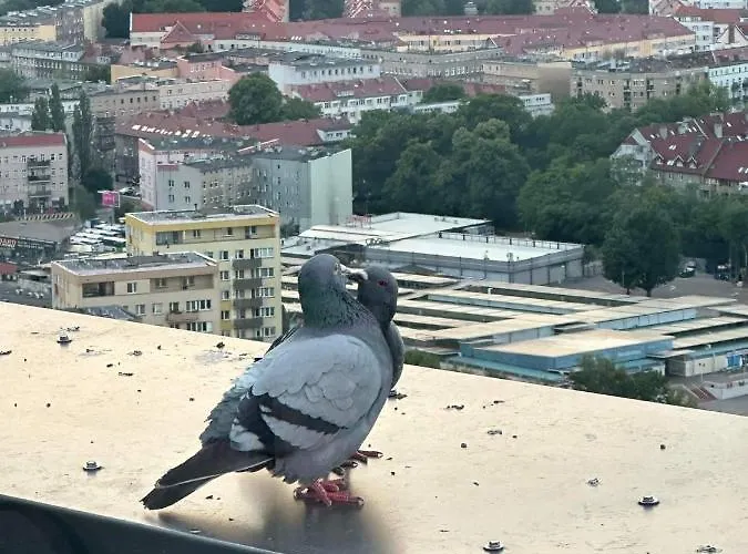 Appartement Hanza Tower Home4u